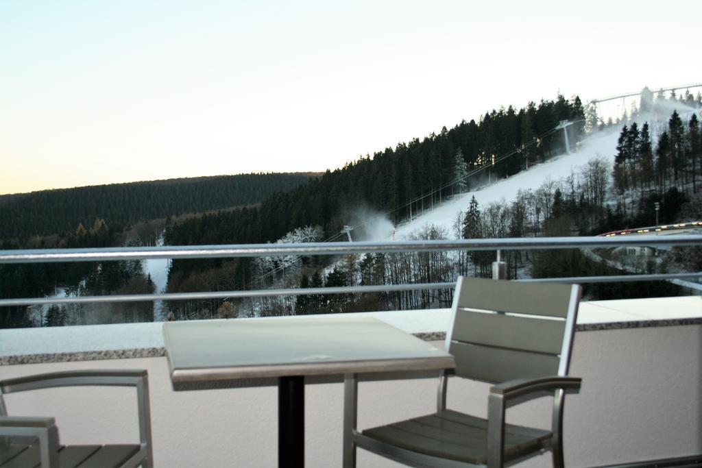 Apartment Luxe Penthouse Winterberg